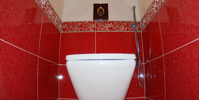 Ремонт Туалета от 50 000 руб
