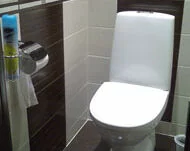 Эконом ремонт туалета